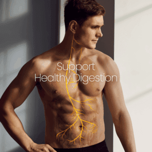 Support Healthy Digestion