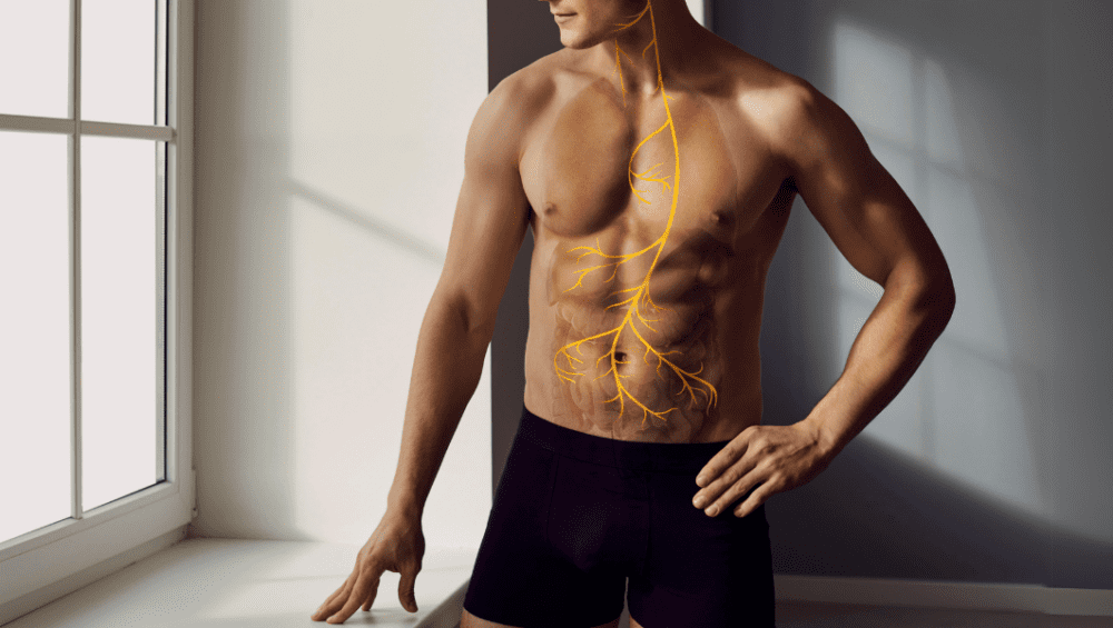 Vagus Nerve Anatomy 101