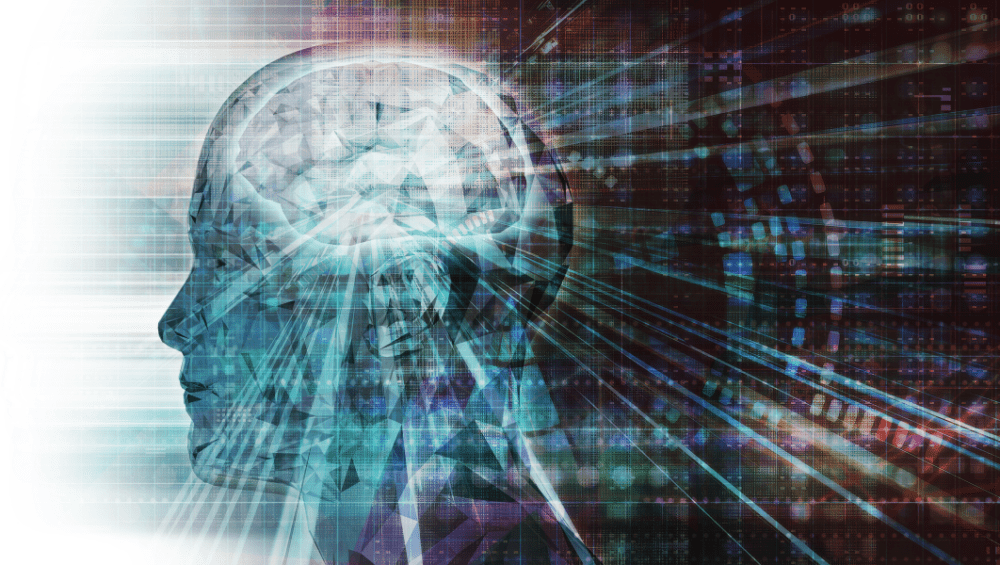 Biohacking for Beginners: How to Improve Healthspan, Reduce Inflammation, and Support the Vagus Nerve
