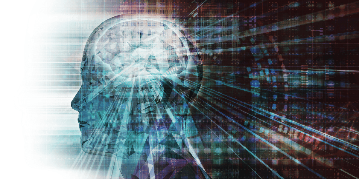 Biohacking for Beginners: How to Improve Healthspan, Reduce Inflammation, and Support the Vagus Nerve