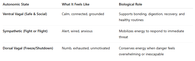 Understanding Polyvagal Theory