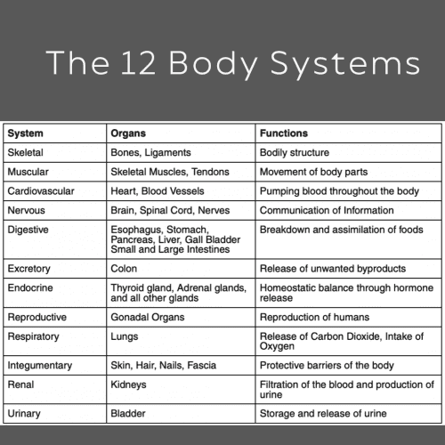 The 12 Body Systems